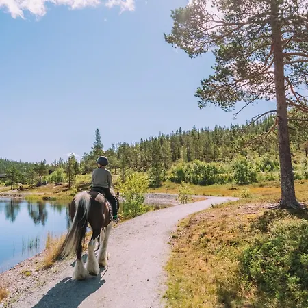 Hotel Norefjell & 4*