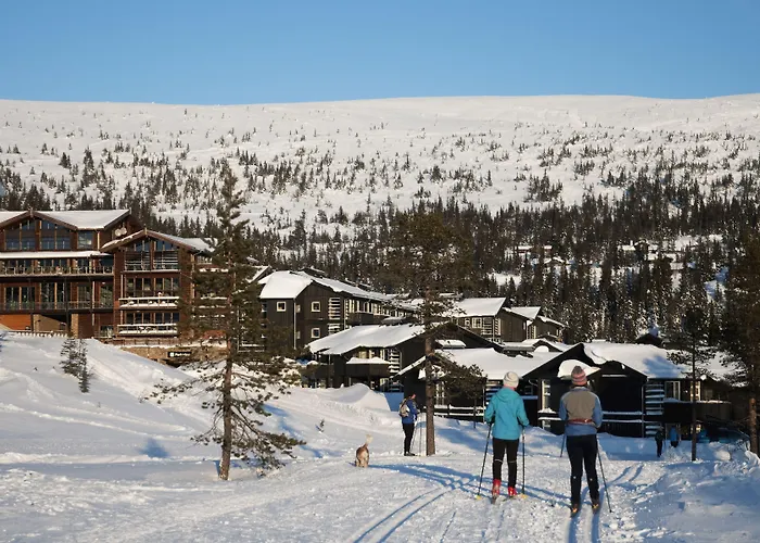 Norefjell & Hotell 4*