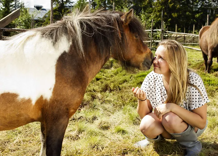 Norefjell & 4* Noresund