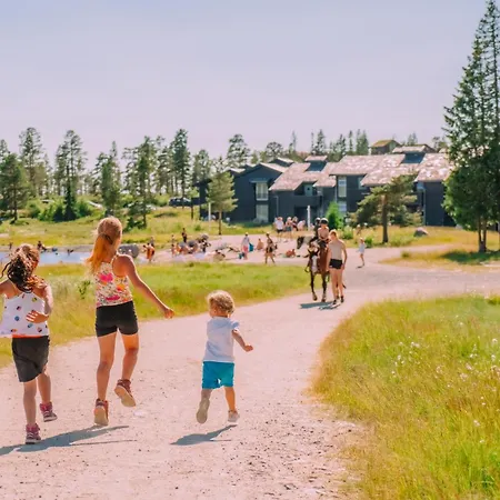 Norefjell & Hotel 4*